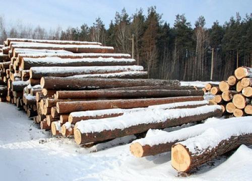 Как построить баню из бруса 100х100. Как сделать баню из бруса своими руками правильно — выбор сечения бруса, длины и породы древесины