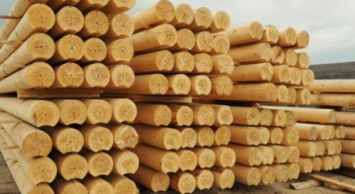 Баня из бревна своими руками. Продолжение строительных работ