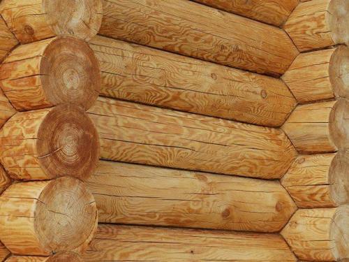 Сруб из бревна или бруса. Подробное сравнение: бревно или брус —, что лучше для дома? 16 Сруб из бревна или бруса. Подробное сравнение: бревно или брус —, что лучше для дома? 16