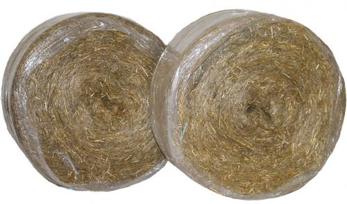 Рубленный дом и строительство домов из бревна ручной рубки. Выбор древесины для постройки 04