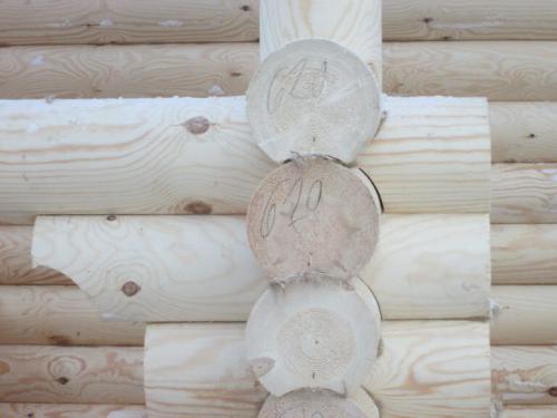 Как собрать сруб своими руками. Правила раскладки бревен в срубе