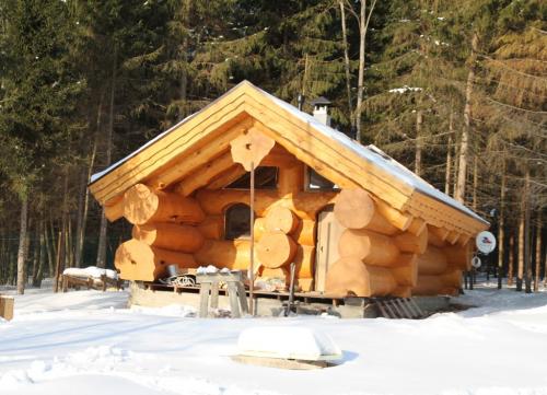 Баня из сруба плюсы и минусы. Преимущества и недостатки бани из бревна