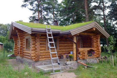 Баня из сруба плюсы и минусы. Преимущества и недостатки бани из бревна