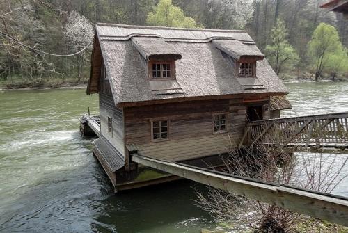 Зачем изучать историю аргументы. В чем польза от изучения истории?