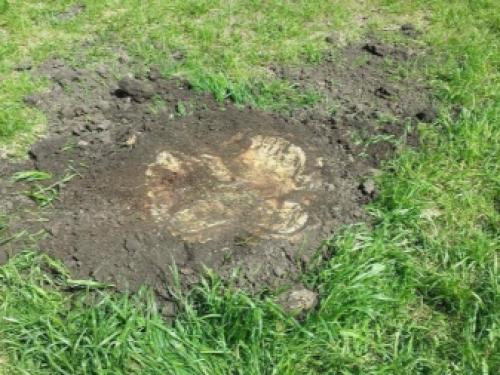 14+ этапов строительства бани 4 на 4 своими руками. Особенности проектов 4х4 м Типовой план бани 4х4 м 20