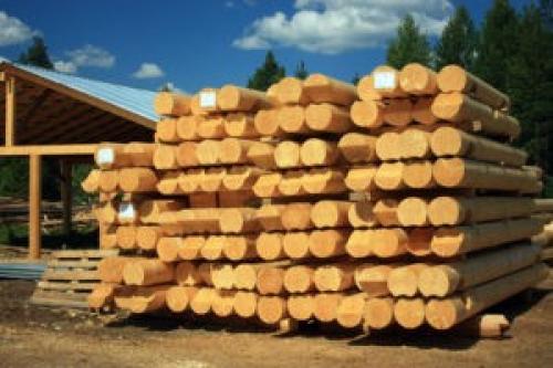 Строительство бани из бревна своими руками. Баня из бревна своими руками: пошаговая инструкция