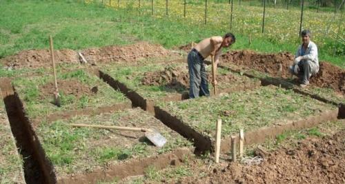 Проекты бань из кирпича. Возведение стен 06 Проекты бань из кирпича. Возведение стен 06