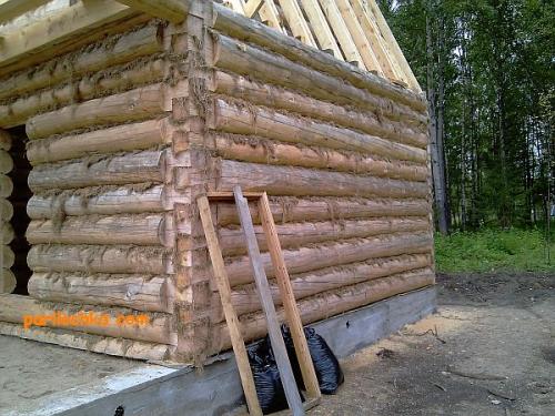 Из какого дерева лучше строить баню. Сруб: из какого дерева лучше строить