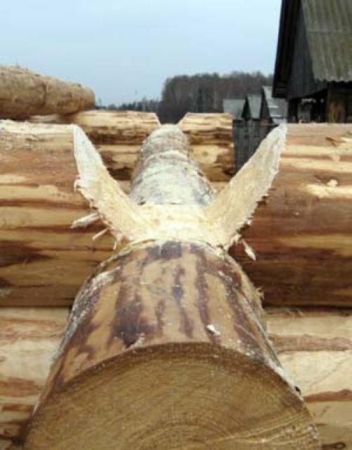 Собрать сруб своими руками. Проектирование и выбор материалов