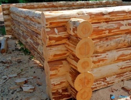 Сруб бани, как сделать. Основные способы соединения бревен венцов