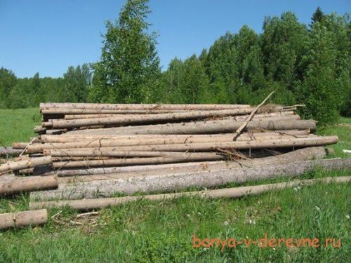 Сколько кубов леса нужно на баню 3 н.  Лес на баню: сколько нужно, чтоб хватило?