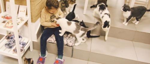 Какой бизнес открыть в 2023 году девушке. Топ 20 лучших бизнес идей для девушек в 2023 году