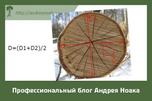 Кубатурник леса на корню таблица. Как посчитать правильно куб леса, чтобы не получить условный срок