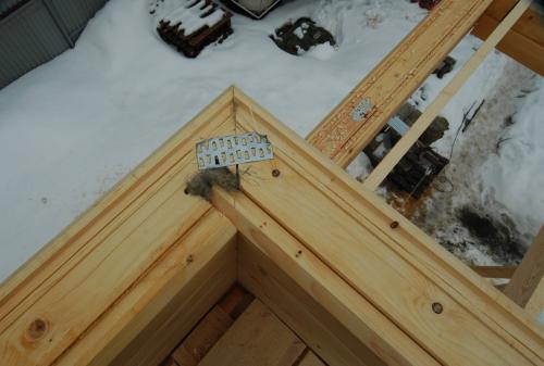 Укладка бруса своими руками. Основная технология укладки 01