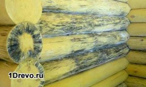 Чем покрыть сруб снаружи. Варианты защитных пропиток
