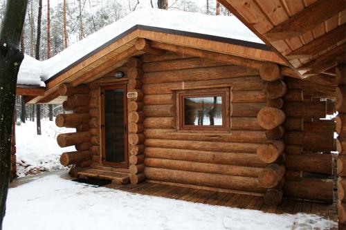 Чем покрыть сруб снаружи. Варианты защитных пропиток 21 Чем покрыть сруб снаружи. Варианты защитных пропиток 21