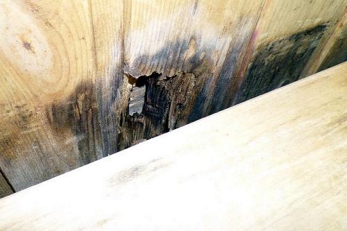 Чем покрасить баню внутри. Технология окрашивания бани снаружи 01