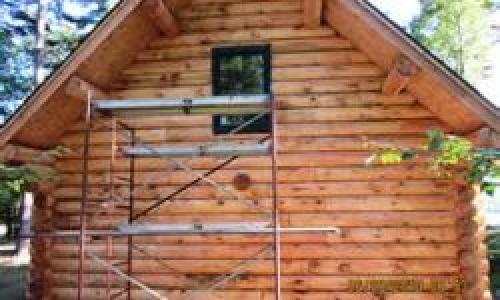Обработка деревянного дома от насекомых. Обработка сруба от вредителей: чем когда и как предотвратить