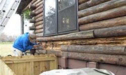Обработка деревянного дома от насекомых. Обработка сруба от вредителей: чем когда и как предотвратить