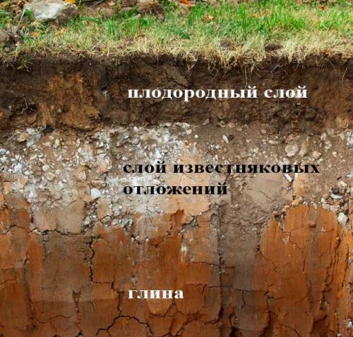 Столбчатый фундамент под сруб бани. Влияние свойств грунта на размеры фундамента