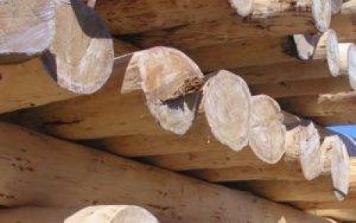 Чем покрасить каркасную баню. Чем красить баню снаружи