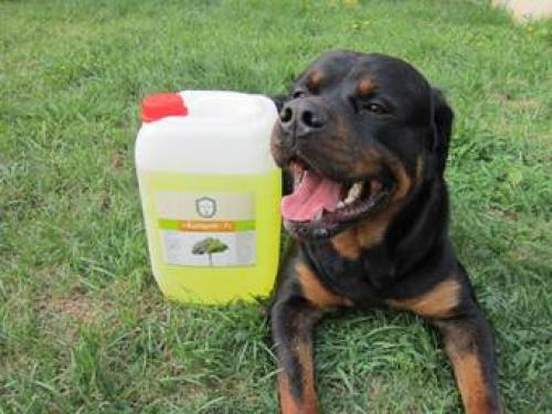 Обработка бруса снаружи дома. Лучшие производители средств 10