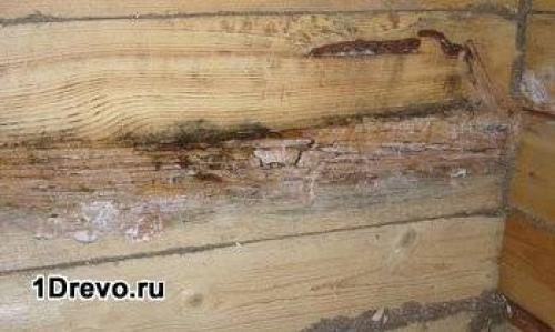 Обработка антисептиком дома из бруса. Как правильно наносить антисептики на поверхности дома. Условия использования