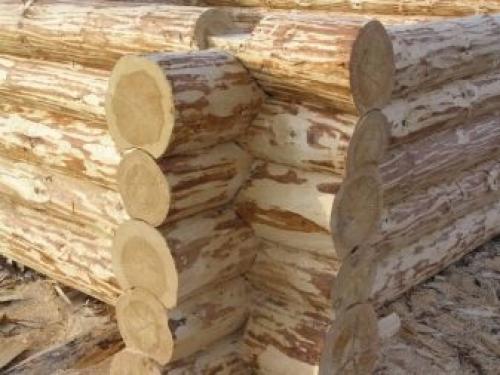 Как срубить сруб в чашу. Способы строительства 02 Как срубить сруб в чашу. Способы строительства 02