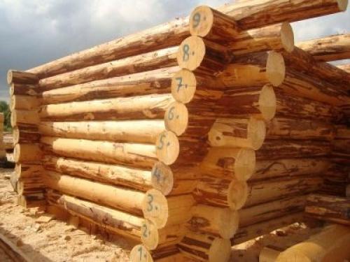 Как срубить сруб в чашу. Способы строительства 01 Как срубить сруб в чашу. Способы строительства 01