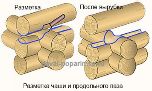 Сруб бани в чашу. Рубка в чашу – технология ручной рубки сруба бани