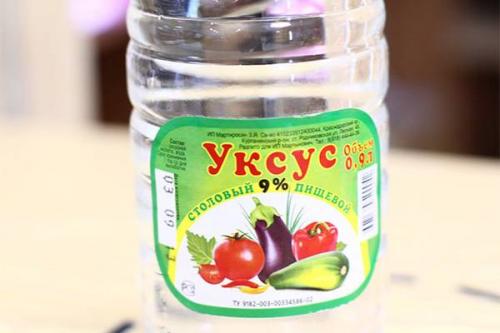 Как убрать плесень в бане. Способы выведения