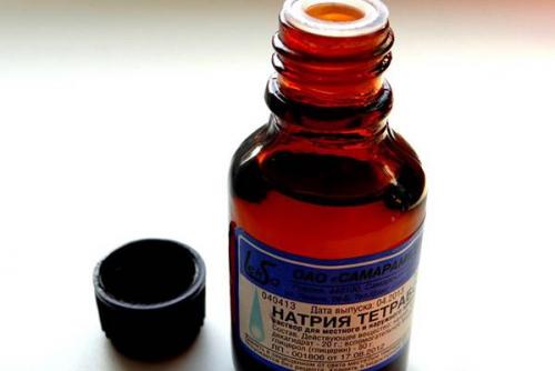 Как убрать плесень в бане. Способы выведения