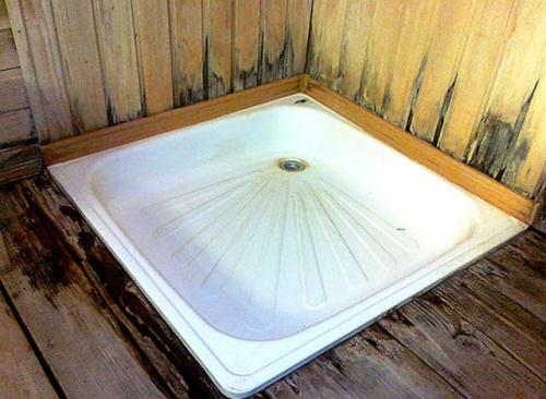 Как убрать плесень в бане. Способы выведения 07