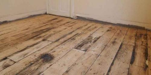 Как убрать плесень в бане. Способы выведения 05