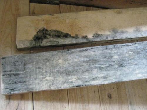 Чем обработать доски в бане от грибка. Несколько шагов к избавлению от плесени на вагонке в бане