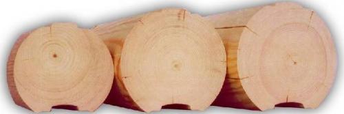 Сколько кубов леса нужно на дом 10х10. Сложности строительства и планировки